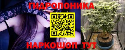 шишки Краснодар