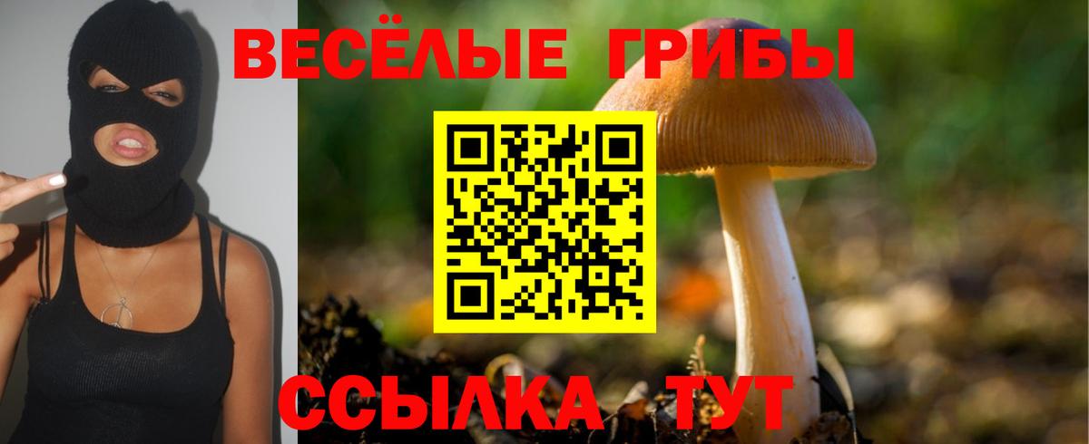 Якутск  Галлюциногенные грибы мухоморы  Вход с VPN 